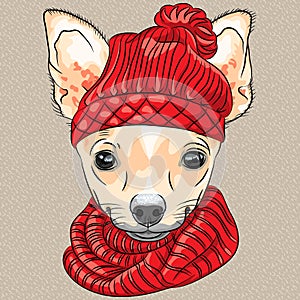 Vector cartoon hipster dog Chihuahua breed smiling