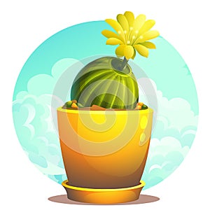 Vector cartoon illustration of cactus in a flower pot