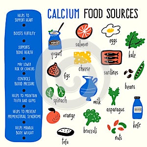 Vector cartoon illustration of calcium food sources and information about it benefits. Infographic poster photo