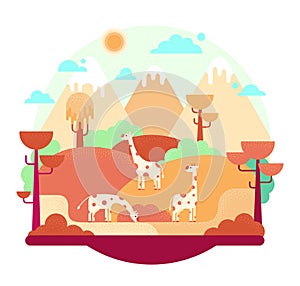 Vector cartoon illustration in flat cartoon stile - Three giraffes in the savannah grazing on a hill, african landscape