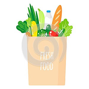 Vector cartoon illustration of paper grocery bag with healthy organic food isolated on white background