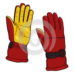 Vector Cartoon Color illustration - Red and Yellow Gloves for Extremal Winter Sports photo