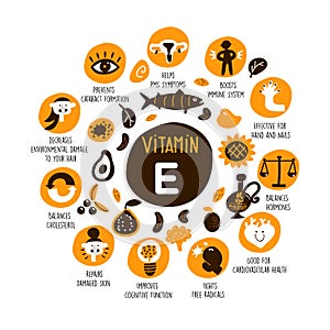Vector cartoon illustration of Vitamin E sources and information about it benefits.