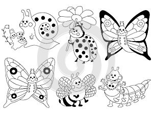 Vector Cartoon Insects Set, Insects Clipart