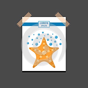 Vector cartoon isolated sea star