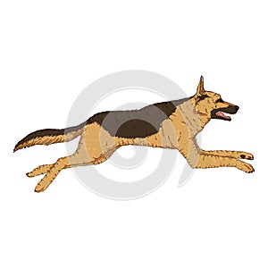 Vector Cartoon Jumping German Shepherd Dog