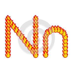 Vector cartoon of `N` alphabet letter in the shape of hot fire