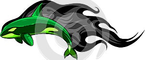 Vector Cartoon Orcinus Orca. Killer Whale Illustration design