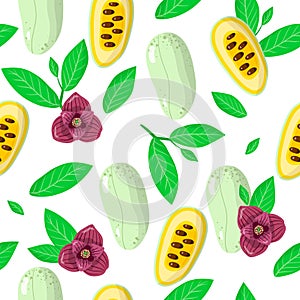 Vector cartoon seamless pattern with Asimina triloba or Papaw exotic fruits, flowers and leafs on white background