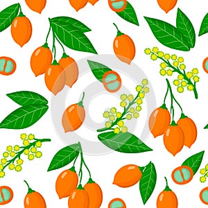 Vector cartoon seamless pattern with Bunchosia argentea fruit exotic fruits, flowers and leafs on white background photo