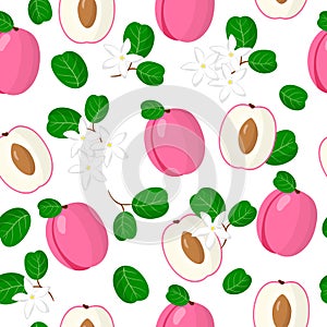 Vector cartoon seamless pattern with Chrysobalanus icaco plum exotic fruits, flowers and leafs on white background