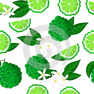 Vector cartoon seamless pattern with Citrus bergamia or the bergamot exotic fruits flowers and leafs on white background