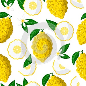 Vector cartoon seamless pattern with Citrus medica or Citron exotic fruits, flowers and leafs on white background