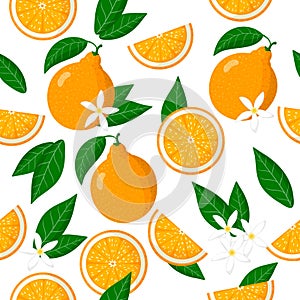 Vector cartoon seamless pattern with Citrus tangelo or honeybells exotic fruits, flowers and leafs on white background