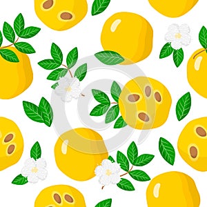 Vector cartoon seamless pattern with Eugenia stipitata or Araza exotic fruits, flowers and leafs on white background photo