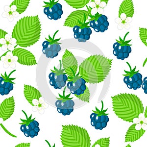 Vector cartoon seamless pattern with European dewberry exotic fruits, flowers and leafs on white background