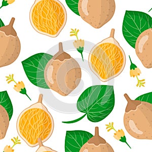 Vector cartoon seamless pattern with Matisia cordata or Chupa-chupa exotic fruits, flowers and leafs on white background