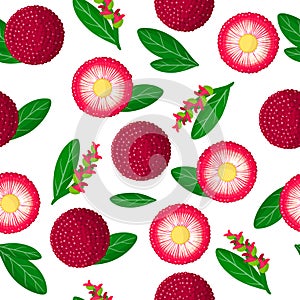 Vector cartoon seamless pattern with Myrica rubra or yangmei exotic fruits, flowers and leafs on white background photo