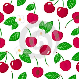 Vector cartoon seamless pattern with Prunus avium or Cherries exotic fruits, flowers and leafs on white background