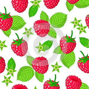 Vector cartoon seamless pattern with Rubus idaeus or Raspberry exotic fruits, flowers and leafs on white background