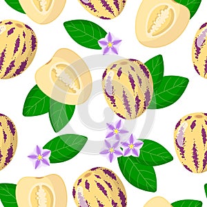 Vector cartoon seamless pattern with Solanum muricatum or Pepino exotic fruits, flowers and leafs on white background