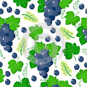 Vector cartoon seamless pattern with Vitis vinifera or White grape exotic fruits, flowers and leafs on white background