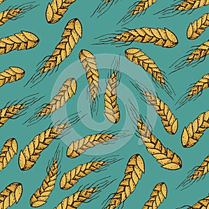 Vector cartoon seamless pattern of wheat,barley cereals, grains. Isolated on blue background.