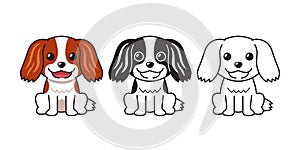Vector cartoon set of cavalier king charles spaniel dog