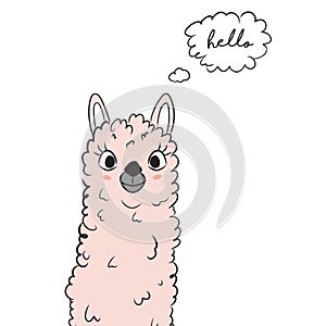 Vector cartoon sketch llama illustration. Alpaka say Hello poster. Cute kids slogan text graphics. Baby girl t shirt a