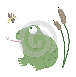 Vector cartoon style flat funny frog with reeds and mosquito isolated on white background. Cute illustration of woodland swamp