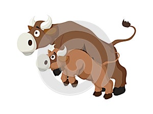 Vector cartoon style illustration of bull farm animal isolated on white