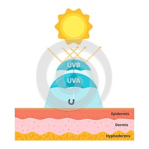 Uva and uvb protection concept photo