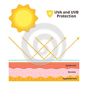 Uva and uvb protection concept photo