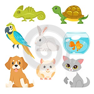 Set of home animal pet