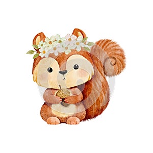 Vector cartoon watercolor with Squirrel wearing flower crown for Baby Nursery Decor01