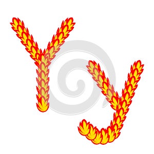 Vector cartoon of `Y` alphabet letter in the shape of hot fire