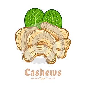 Vector cashew nuts illustration