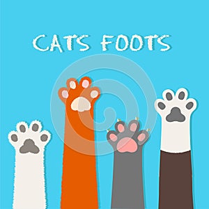 Vector cat flat design, prints, cartoon, cute cat foot wallpaper vector illustration