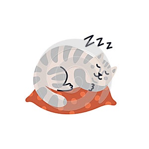 Vector cat illustration, Cute tabby kitten sleeping on the pillow. Vector illustration in flat cartoon style on white