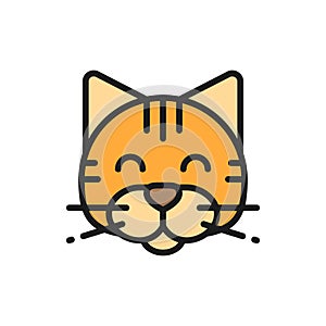 Vector cat, pet, animal flat color icon.