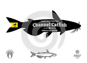 Vector catfish seafood label