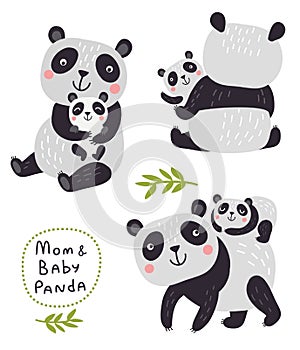 Vector Characters. Panda bear. Cute set