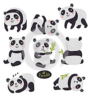 Vector Characters. Panda bear. Cute set photo