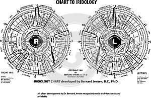 Vector Chart of Iridology by Dr. Bernards Jansen for educational purposes