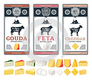 Vector cheese labels and different types of cheese detailed icons