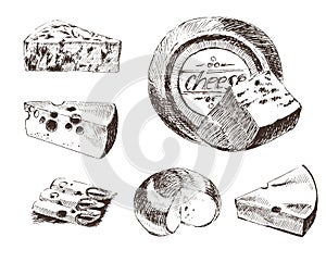 Vector cheese sketch drawing designer template. farm food collection. hand drawn dairy product