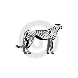 Vector cheetah silhouette view side for retro logos, emblems, badges, labels template vintage design element. Isolated on white