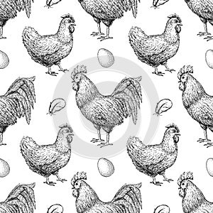 Vector chicken breeding hand drawn seamless pattern.