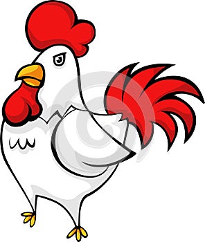 vector Chicken illustration