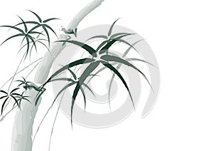 Vector chinese bamboo painting background